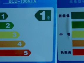 如何选择优质冰箱（关键因素和购买技巧）