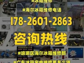 解决海尔冰箱白屏故障的维修技巧（海尔冰箱白屏故障原因分析及解决方法）