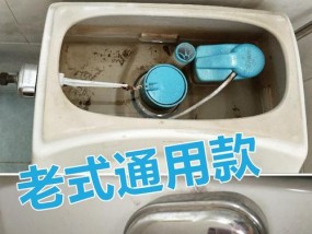 马桶冲水阀的更换方法（手把手教你轻松更换马桶冲水阀）