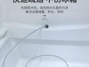 冰箱出水口清洗技巧大全（轻松应对冰箱出水口清洗难题）