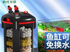 鱼缸净水器不工作了怎么办（解决鱼缸净水器故障的实用方法）