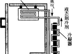 电冰箱的工作原理与常见问题解析（了解电冰箱工作原理）