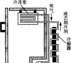 电冰箱的工作原理与常见问题解析（了解电冰箱工作原理）  第1张