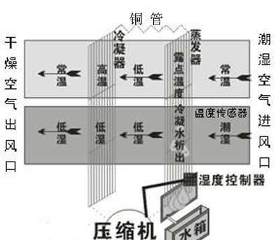 探究空调出水的原因与解决方法（了解空调出水的原因）  第3张